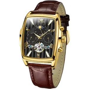 Elegance® 6675 Executive Men Watch Luxury Rectangular Dial Mechanical Watches Waterproof Leather Automatic Luminous Watch Business Men