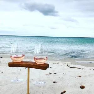 Winestains Double Beach Stake  -Travel Friendly 2 wine glass holder